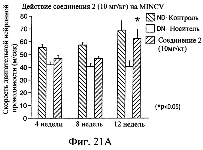 Производные пентадикарбоновой кислоты, фармацевтическая композиция на их основе и способы лечения (патент 2268881)