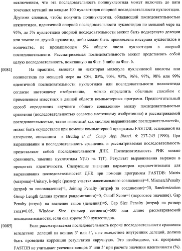 Конструкции слияния и их применение для получения антител с повышенными аффинностью связывания fc-рецептора и эффекторной функцией (патент 2407796)