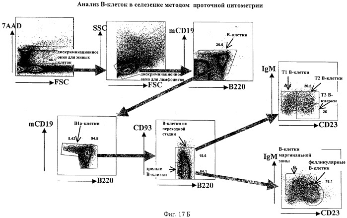 Гуманизированные антитела к cd19 и их применение для лечения онкологического, связанного с трансплантацией и аутоиммунного заболевания (патент 2495882)