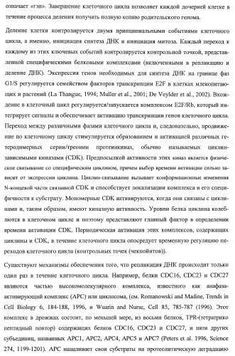 Растения, имеющие улучшенные характеристики роста, и способы их получения (патент 2463352)