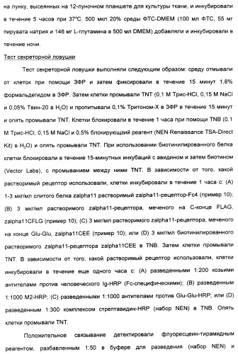 Выделенный полипептид, связывающий рецептор zalpha11-лиганда (варианты), кодирующий его полинуклеотид (варианты), вектор экспрессии (варианты) и клетка-хозяин (варианты) (патент 2346951)