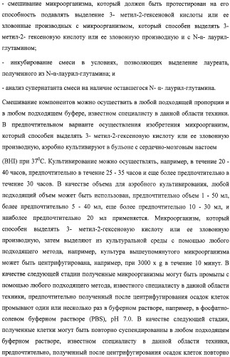 Микроорганизмы, ингибирующие образование неприятного подмышечного запаха (патент 2459864)