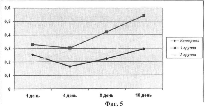 Штаммы бактерий bacillus subtilis и bacillus amyloliquefaciens, обеспечивающие восстановление микробиоценозов почвы и желудочно-кишечного тракта животных, обладающие бактерицидной, фунгицидной и вирулицидной активностью, и препарат на основе этих штаммов (патент 2482174)