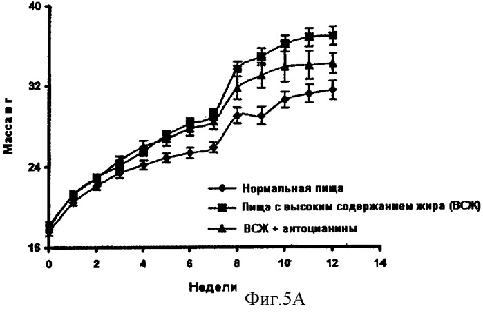 Способы и композиции для лечения ожирения, инсулинзависимых заболеваний и гиперхолестеринемии (патент 2359689)