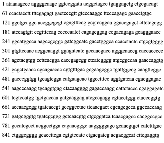 Применение hsp70 в качестве регулятора ферментативной активности (патент 2571946)