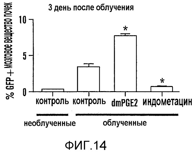 Способ стимулирования экспансии гематопоэтических стволовых клеток (патент 2493252)