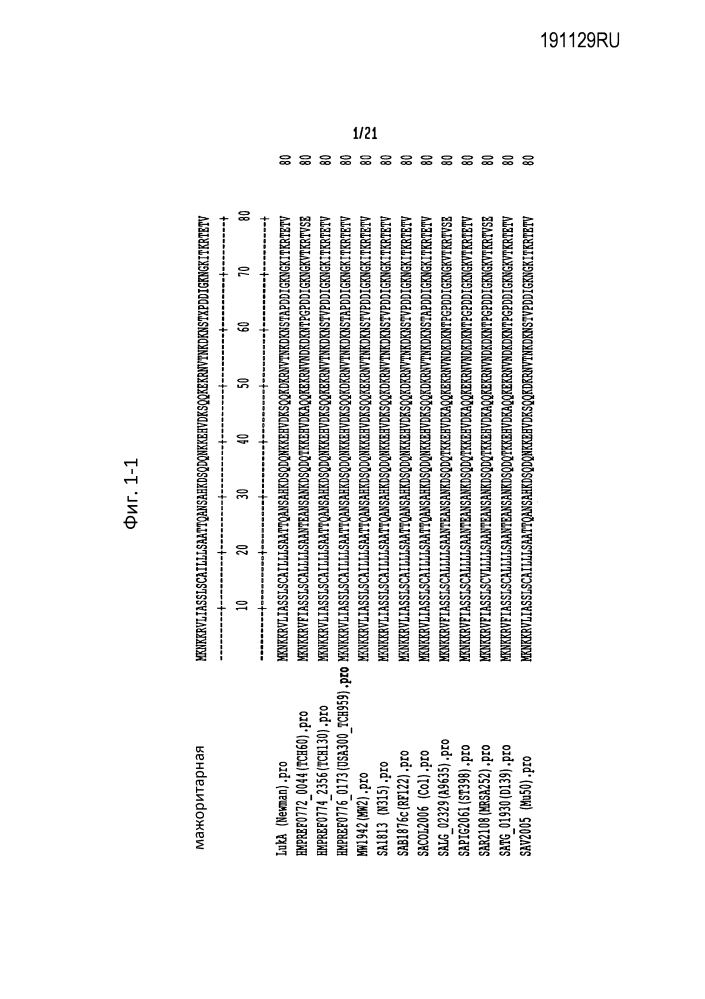 Лейкоцидины staphylococcus aureus, терапевтические композиции и их применение (патент 2644237)