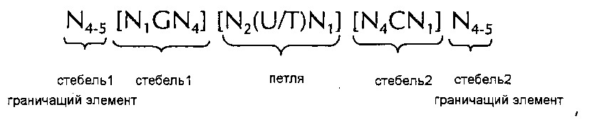 Нуклеиновая кислота, содержащая или кодирующая структуру "стебель-петля" гистонов и последовательность поли(а) или сигнал полиаденилирования, для повышения экспрессии кодируемого патогенного антигена (патент 2639528)