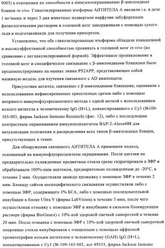 Антитела к амилоиду бета 4, имеющие гликозилированную вариабельную область (патент 2438706)