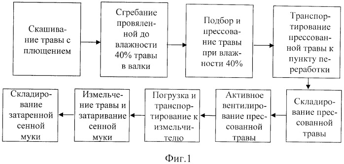 Способ производства каротина для балансирования кормовых рационов и средство для его осуществления (патент 2355156)