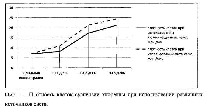 Способ выращивания хлореллы (патент 2558300)