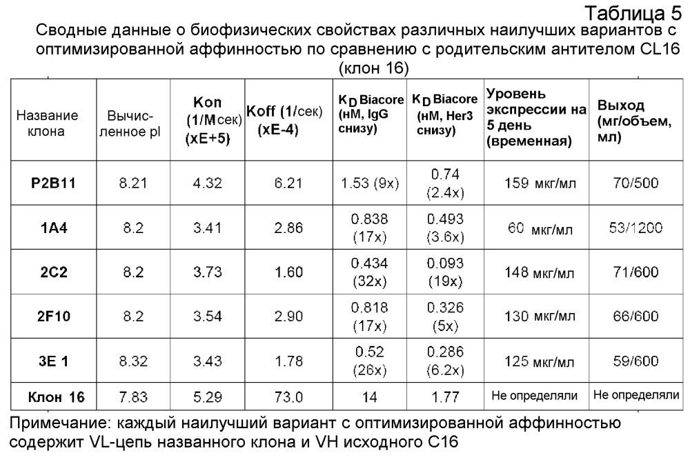 Связывающие молекулы, специфичные по отношению к her3, и их применения (патент 2620068)