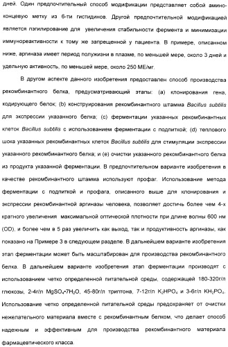 Фармацевтический препарат и способ лечения злокачественных опухолей у человека с помощью аргининовой депривации (патент 2335539)