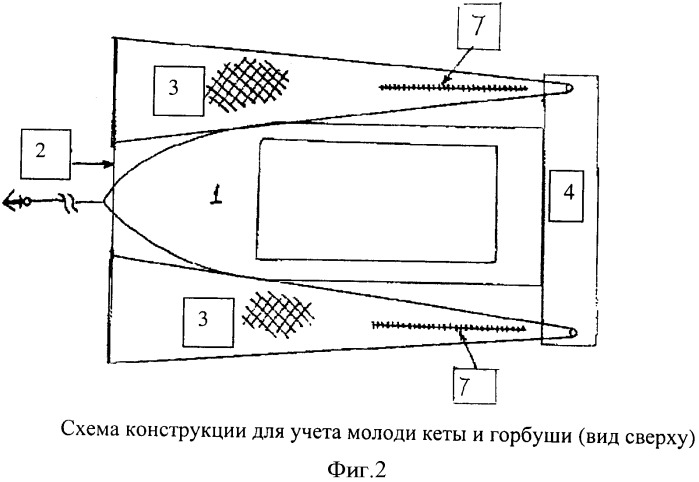 Устройство для лова молоди рыб (патент 2335896)