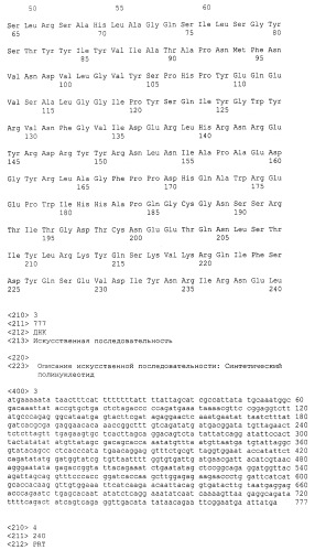 Мутантный термолабильный энтеротоксин e.coli (патент 2441879)