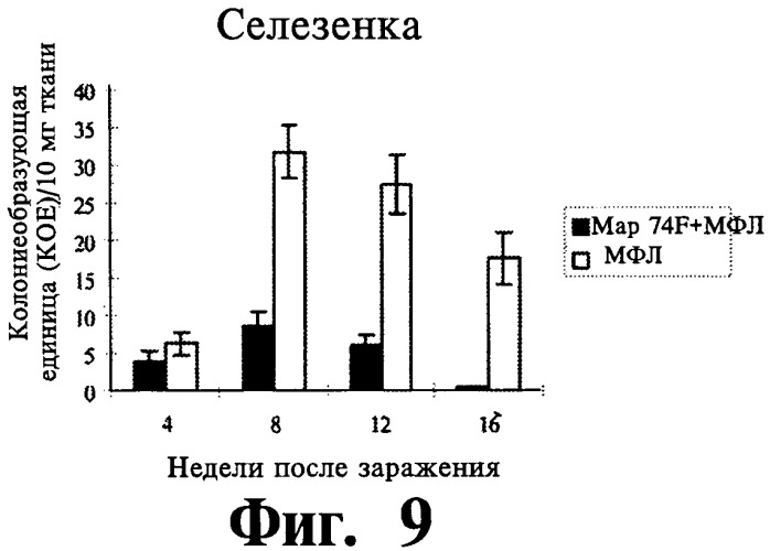 Фармацевтическая композиция и способ стимулирования иммунного ответа к мусоbacterium avium подвида paratuberculosis (патент 2489165)