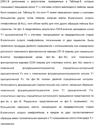 Специфические антитела человека для избирательной терапии рака (патент 2316564)