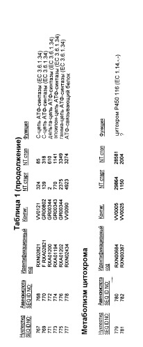 Гены corynebacterium glutamicum, кодирующие белки, участвующие в метаболизме углерода и продуцировании энергии (патент 2321634)