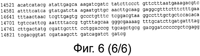 Рекомбинантная вакцина от птичьего гриппа и её применение (патент 2559527)