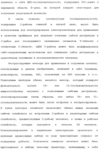 Комбинированная терапия негематологических злокачественных опухолей с использованием анти-igf-1r-антитела (патент 2342159)