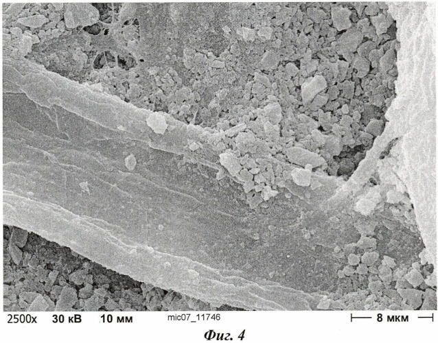 Органические волокна с минерализированной поверхностью (патент 2480549)