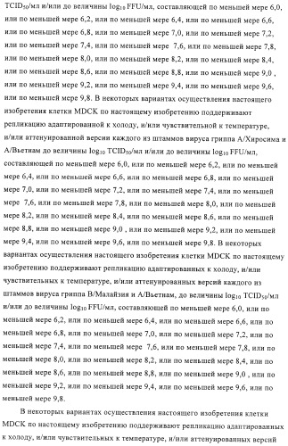 Линии клеток почки собаки майдин-дэрби (mdck), поддерживающие рост вирусов до высоких титров, и способ применения этих клеток в биореакторе (патент 2487935)