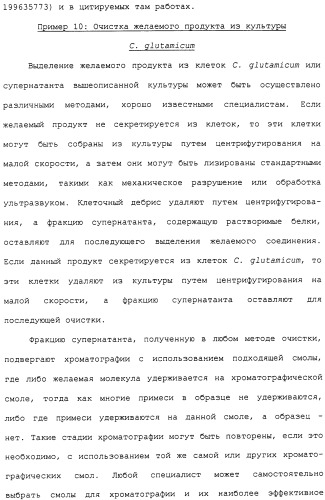Гены corynebacterium glutamicum, кодирующие белки метаболических путей (патент 2306339)