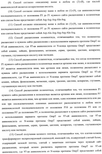 Способ расщепления полипептидов с использованием варианта протеазы оmpт (патент 2395582)