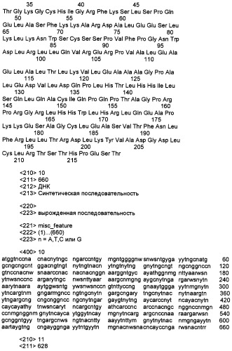 Интерферон-подобный белок zcyto21 (патент 2292394)