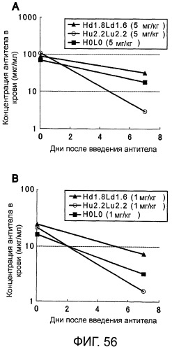 Способ модификации изоэлектрической точки антитела с помощью аминокислотных замен в cdr (патент 2510400)