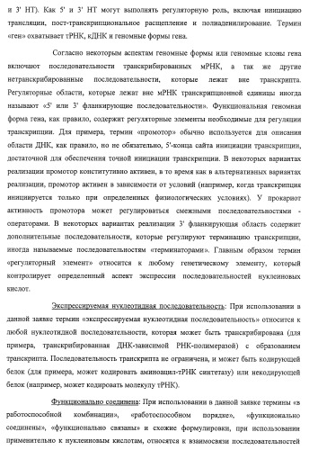 Система экспрессии компонентов ортогональной трансляции в эубактериальной клетке-хозяине (патент 2467069)
