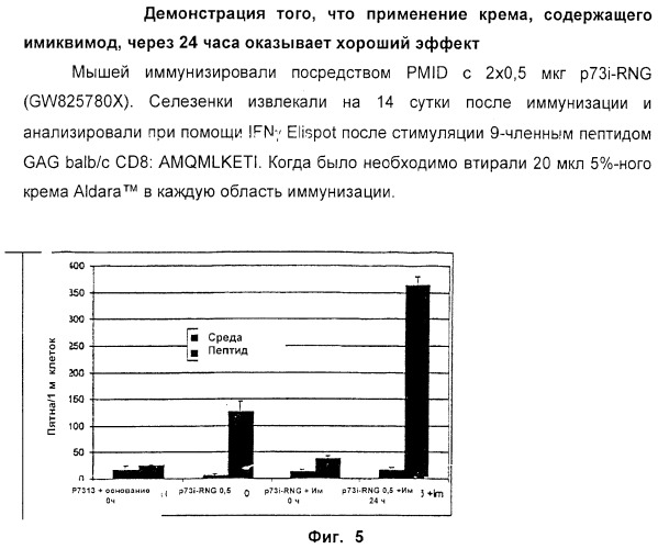 Способ усиления иммунного ответа млекопитающего на антиген (патент 2370537)