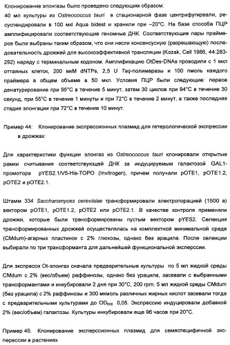 Способ получения полиненасыщенных кислот жирного ряда в трансгенных организмах (патент 2447147)