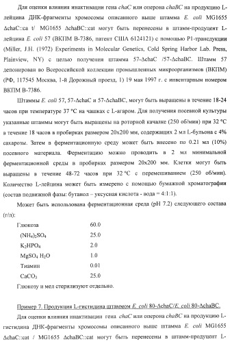 Способ получения l-треонина или l-аргинина с использованием бактерии, принадлежащей к роду escherichia, в которой инактивирован ген chac или оперон chabc (патент 2392327)