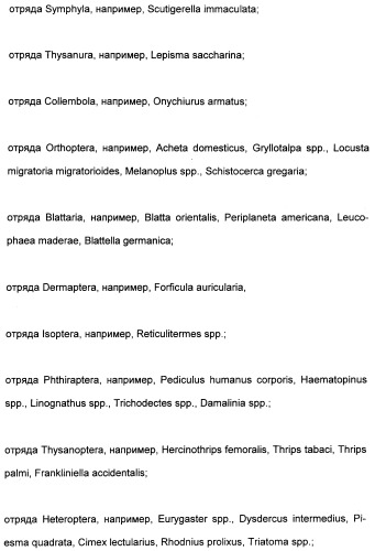 Цис-алкоксизамещенные спироциклические производные 1-h- пирролидин-2, 4-диона в качестве средств защиты от вредителей (патент 2340601)