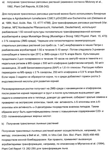 Способ получения полиненасыщенных жирных кислот в трансгенных растениях (патент 2449007)