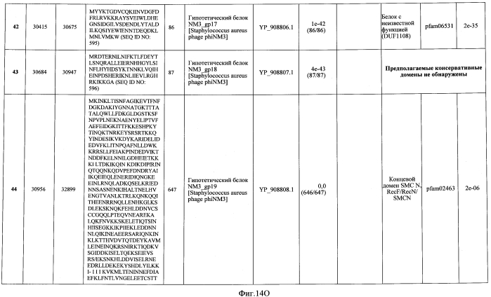 Бактериофаг, обладающий активностью против pseudomonas aeruginosa, белки бактериофага и способы их применения (патент 2580248)