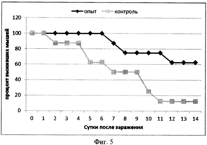 Вакцина для профилактики и лечения ротавирусной инфекции, содержащая гибридный белок в качестве активного агента (варианты) (патент 2539913)