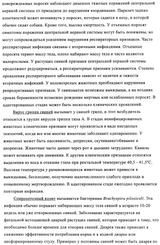 Поливалентные иммуногенные композиции pcv2 и способы получения таких композиций (патент 2488407)