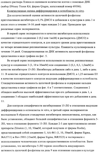 Способ лечения и предупреждения потери костной ткани (патент 2319483)