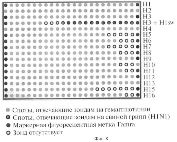 Способ выбора днк-зондов для микрочиповой диагностики, биочип и способ типирования гена нейраминидазы и гемагглютинина вируса гриппа а (патент 2470076)