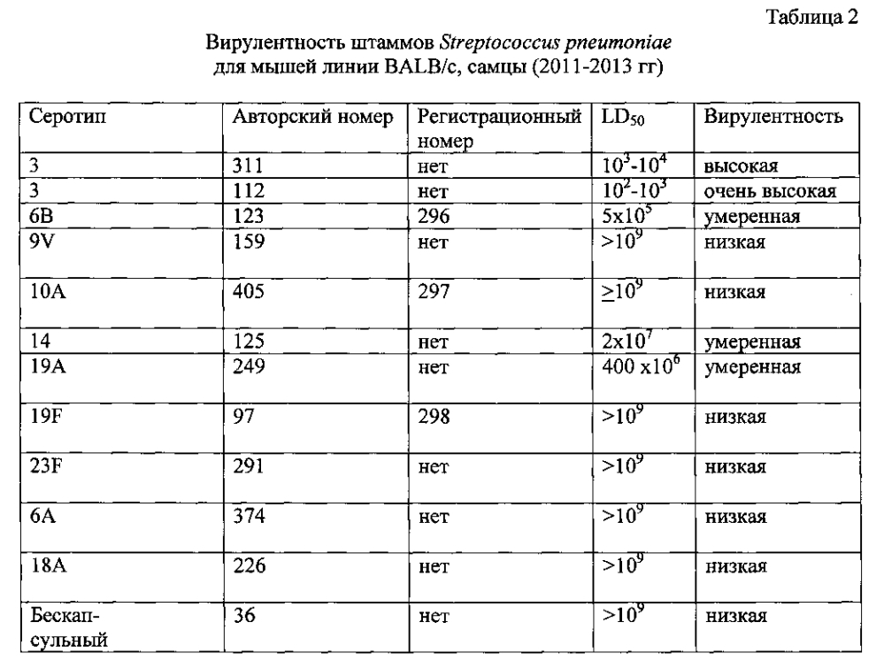 Штаммы вида streptococcus pneumoniae (варианты) и способ получения из них протективной белоксодержащей фракции, обладающей внутривидовой иммуногенной активностью (патент 2601158)