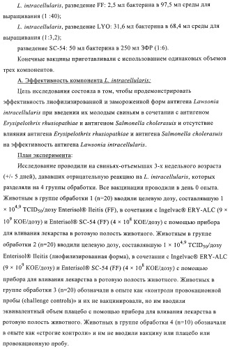 Иммуногенные композиции, содержащие lawsonia intracellularis (патент 2443430)