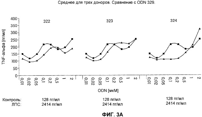 Иммуностимулирующие фосфортиоатные cpg-олигонуклеотиды, содержащие фосфодиэфирные связи, способ иммуномодуляции, способ стимулирования иммунного ответа (патент 2338750)