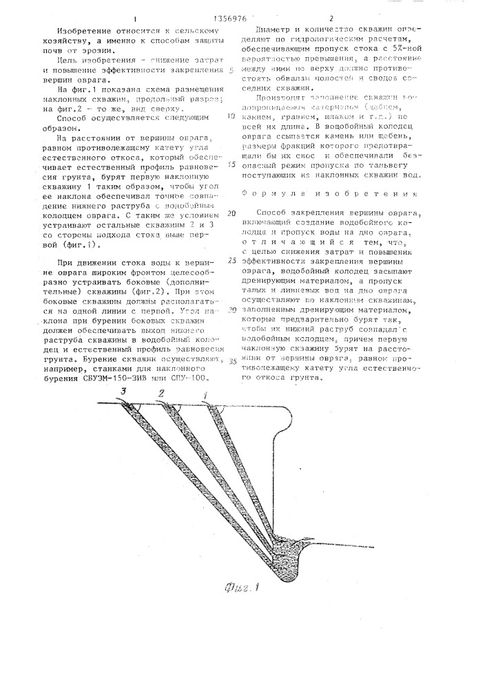 Способ закрепления вершины оврага (патент 1356976)