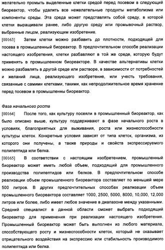 Получение антител против амилоида бета (патент 2418858)