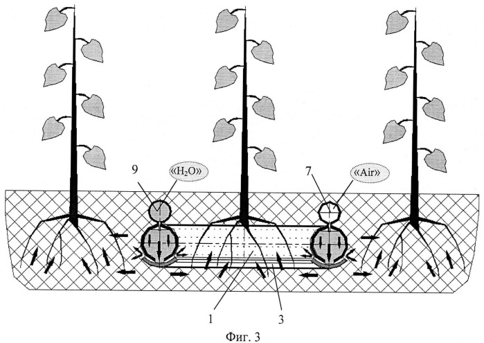 Способ капиллярного орошения из закрытого грунта плодовых деревьев и виноградника (вариант русской логики - версия 3) (патент 2532111)