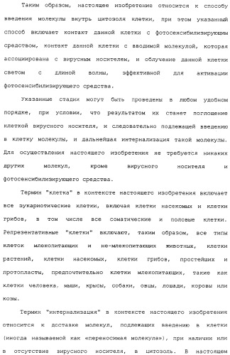 Фотохимическая интернализация для опосредованной вирусом доставки молекулы в цитозоль (патент 2317827)