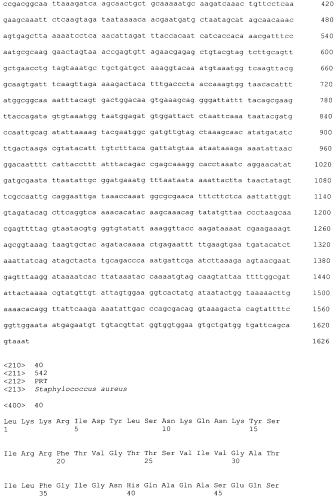 Стабильные иммуногенные композиции антигенов staphylococcus aureus (патент 2570730)