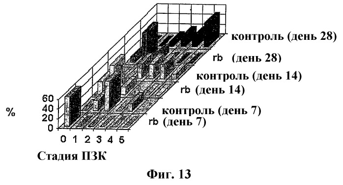 Перенос генов, опосредованный лентивирусным вектором, и их использование (патент 2288742)